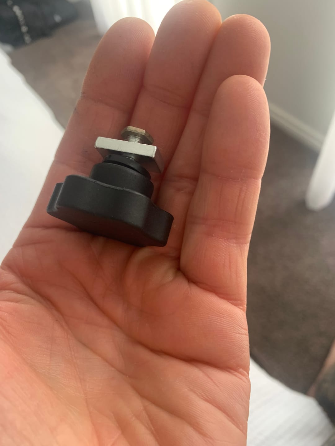 Customer photo review of Awnlux Retractable Roll-Out Caravan Awning W-5600NC