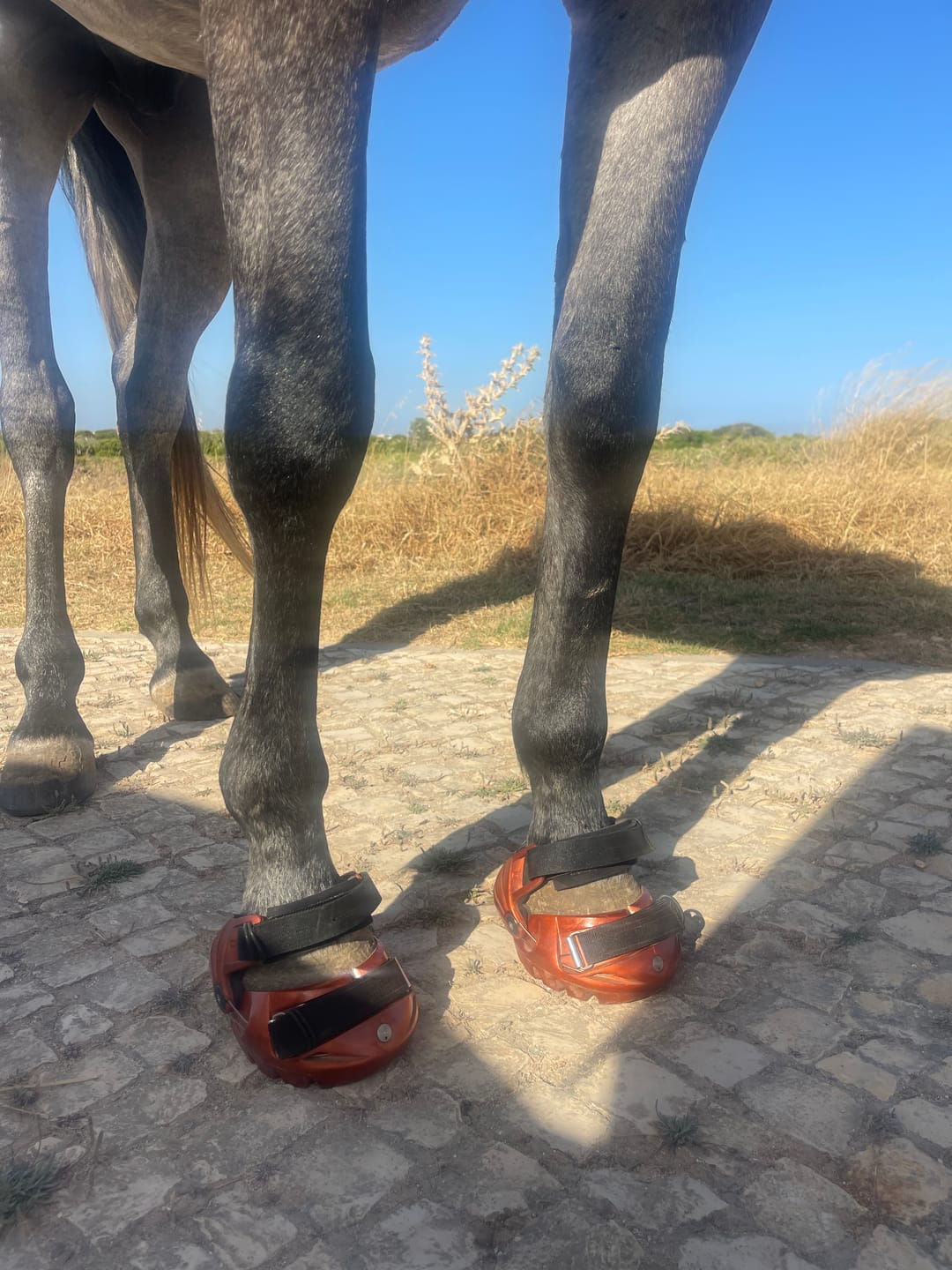 Customer photo review of Renegade® Viper Shield™ Hoof Boot - Arizona Copper