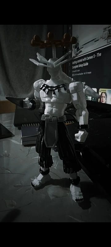 Customer photo review of Stick Titan