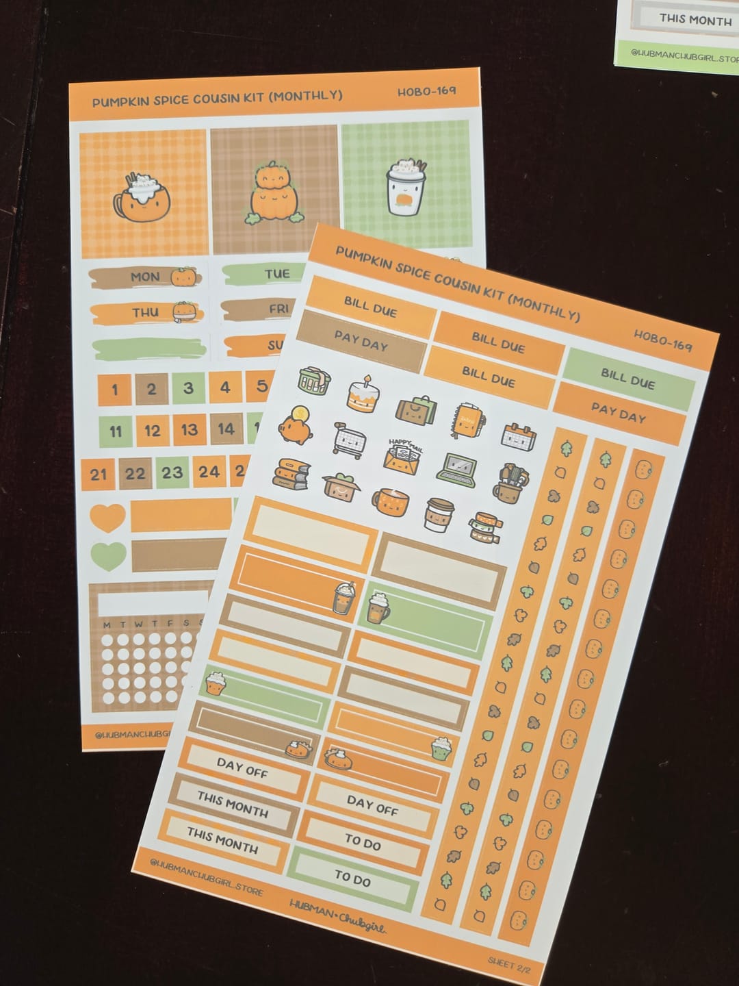Customer photo review of Pumpkin Spice Theme Hobonichi Cousin Monthly Kit (Set of 2)
