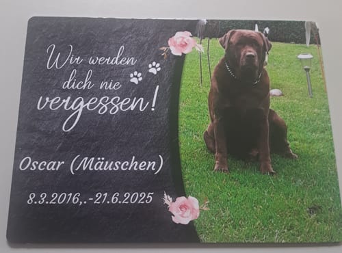 Customer photo review of Hunde Gedenktafel mit Foto & Spruch (UV- &  Wetterfest)
