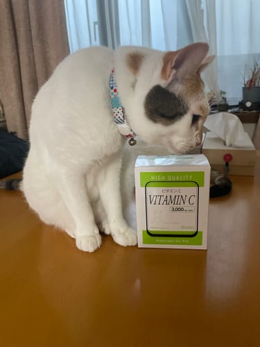 Customer photo review of 高濃度ビタミンC 3,000mg -Wakasapri for Pro.