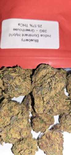 Customer photo review of Blueberry