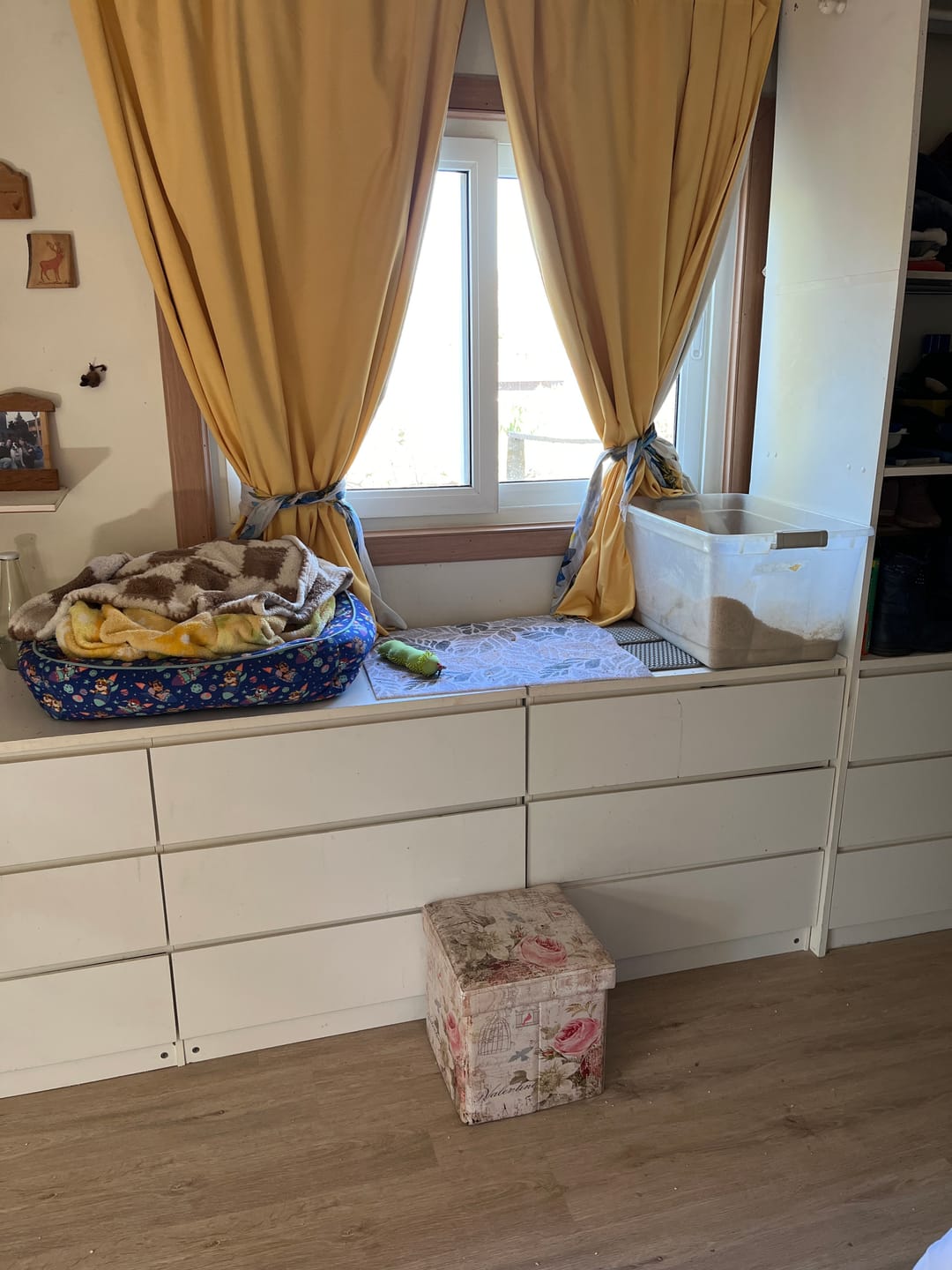 Customer photo review of Arena biodegradable Cosycat 4,3 kg