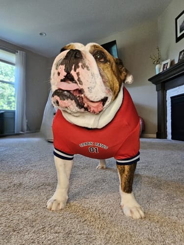 Customer photo review of Football Mesh Jersey - Red