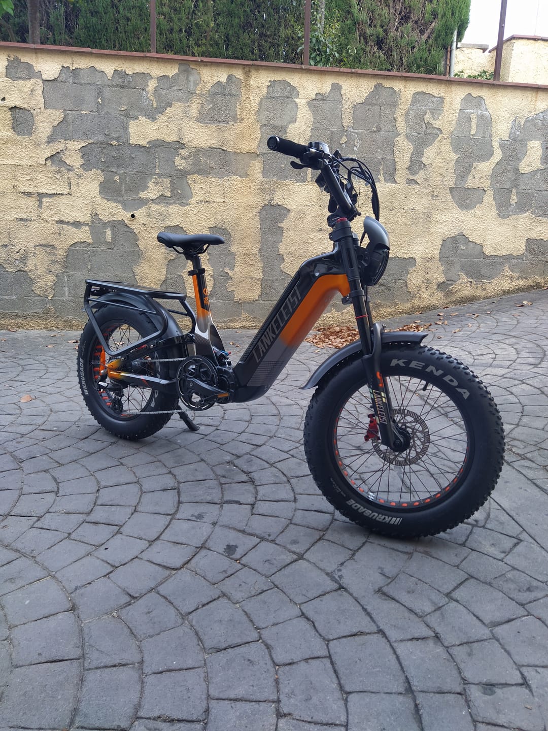 Customer photo review of Lankeleisi RX800 Plus 2025 Version 1000W 20" Fat Bike 960Wh Full Suspension Electric Bike with Torque Sensor 48V 20Ah Battery SUV E-Bike [Pre-order]