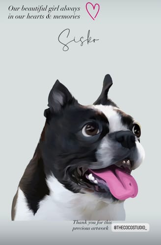 Customer photo review of Detailed Pet Portrait