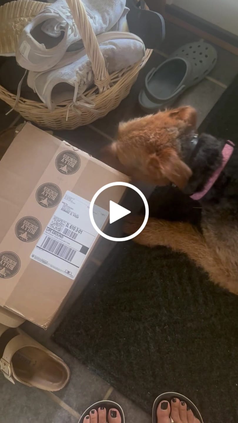 Customer video review of 10-12 Inch Peanut Butter Cheek Roll