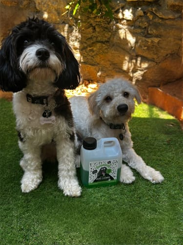 Customer photo review of Artificial Grass Cleaner in Fresh Cut Grass Fragrance