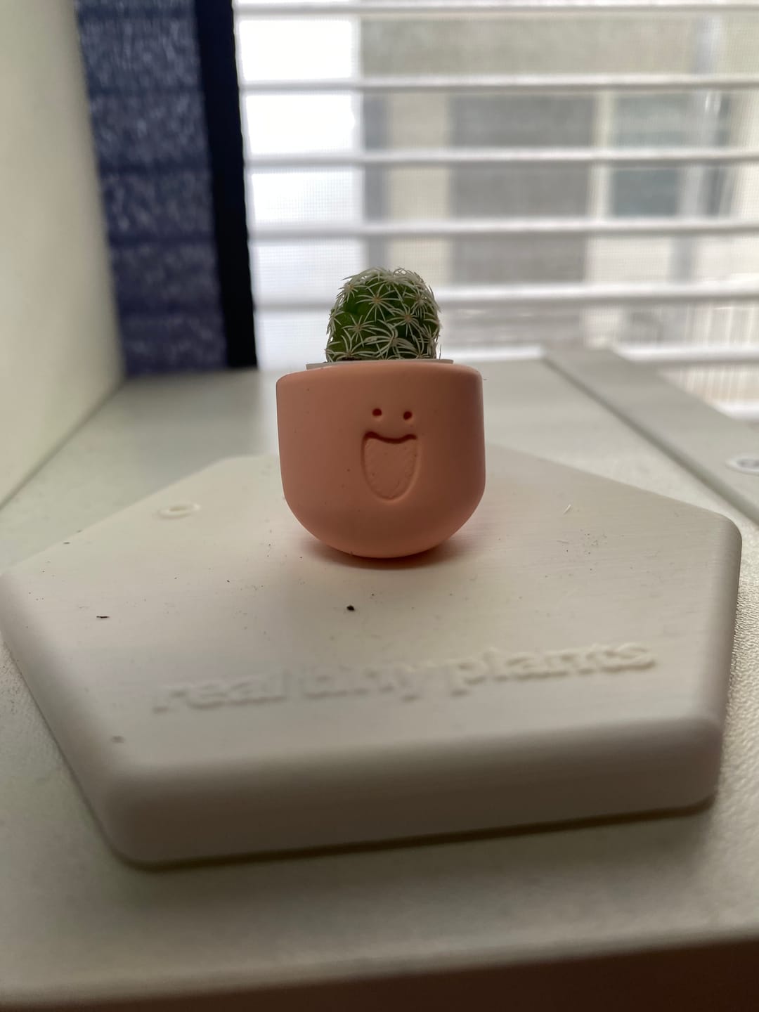 Customer photo review of LOL