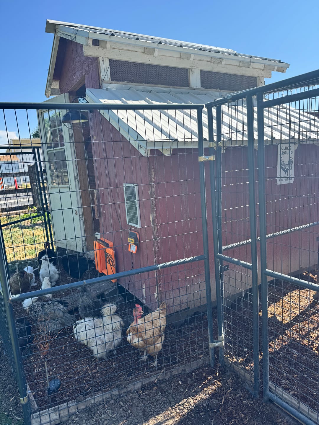 Customer photo review of Solar Automatic Chicken Coop Door