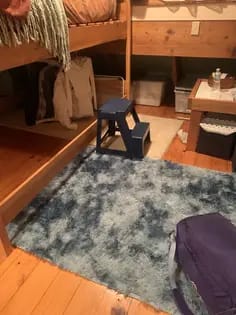 Customer photo review of LUXURY FLUFFY RUG - 50% OFF