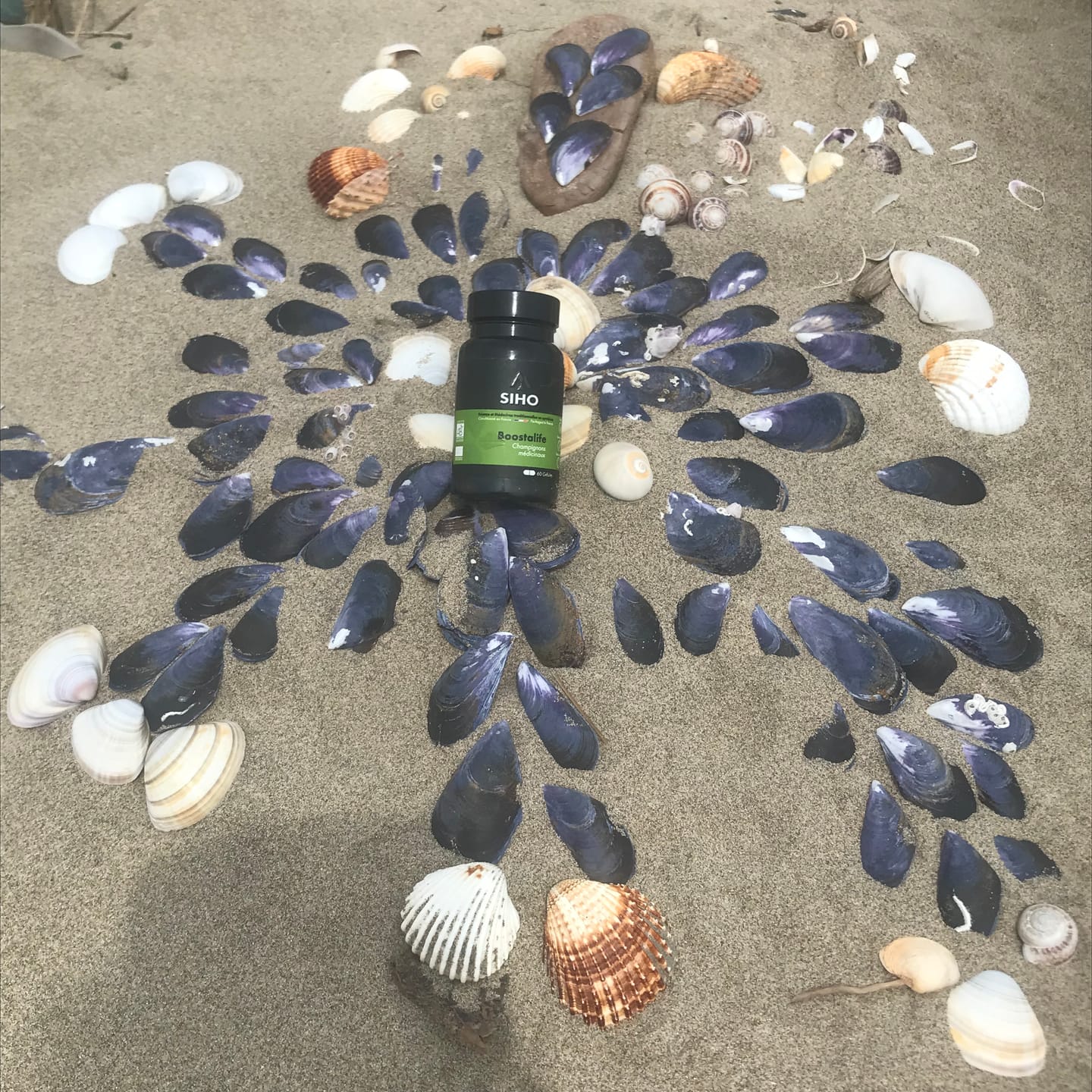 Customer photo review of Boostalife, extrait bio de 3 champignons: reishi, chaga et héricium