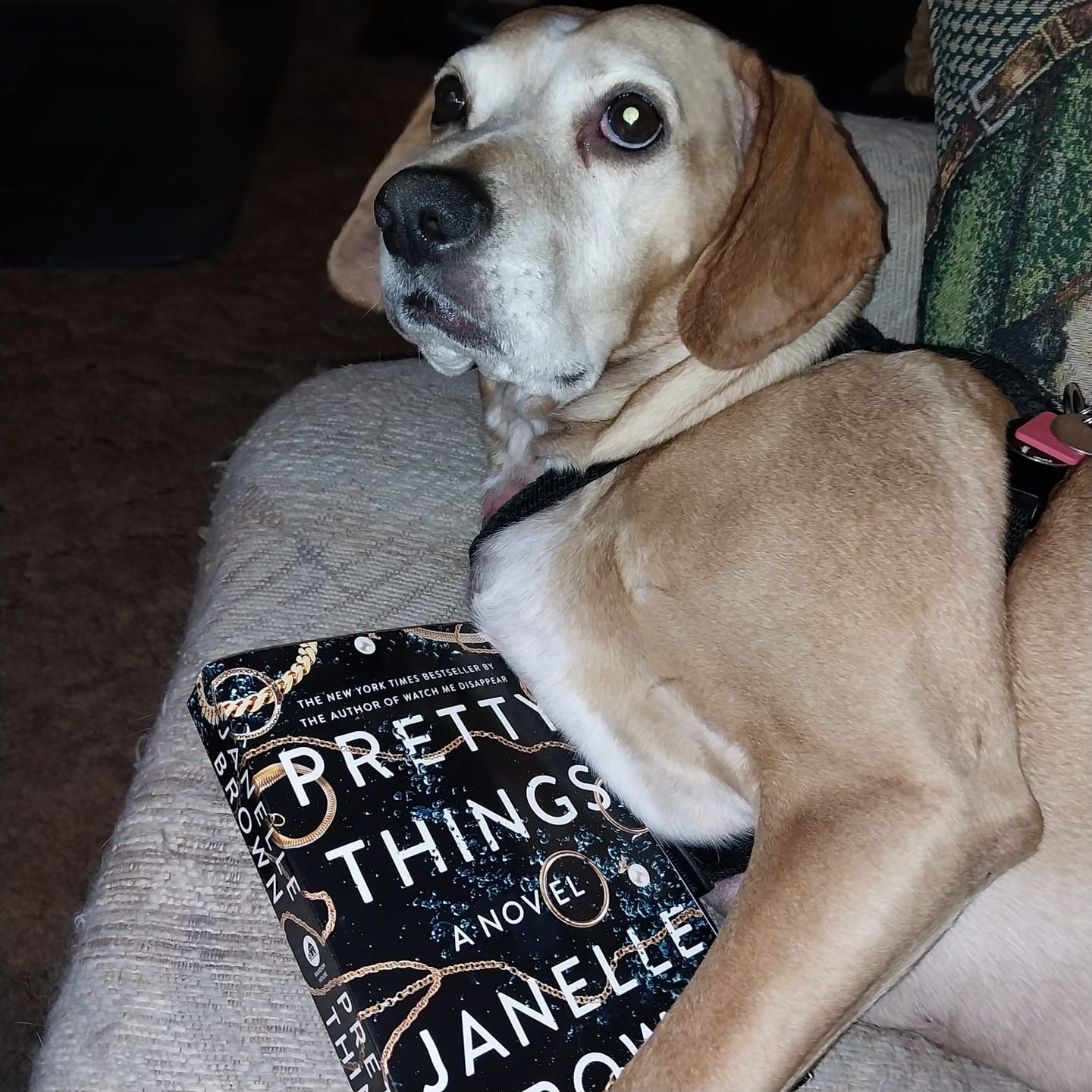 Customer photo review of Quarterly Mystery/Thriller Book Box