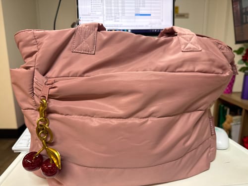 Customer photo review of Bagsmart 20L Puffy Tote Bag with 15.6" Laptop Compartment