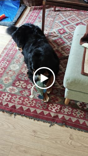 Customer video review of Slidstærk Fisk i Læder m. Reb