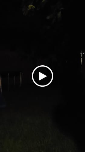 Customer video review of The Vengeance