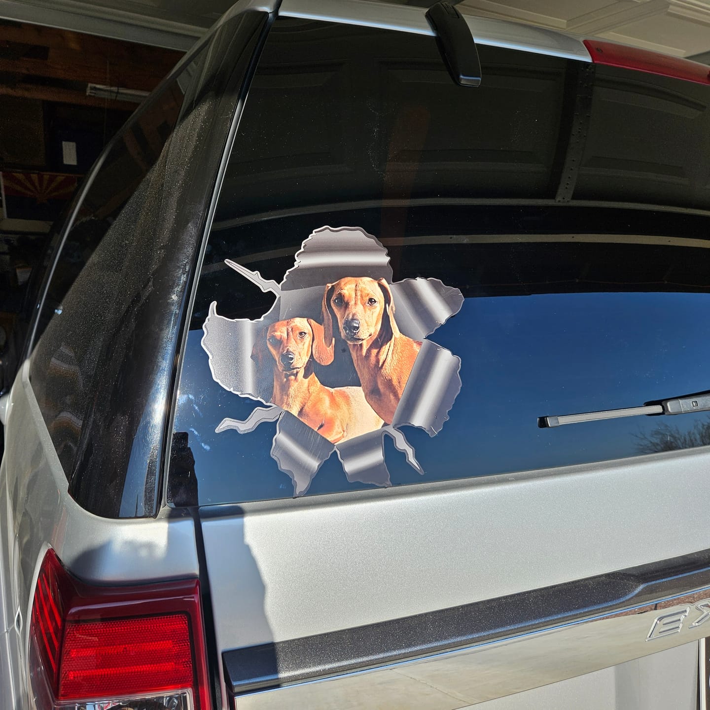 Customer photo review of Peeking photo – Personalized Car Sticker