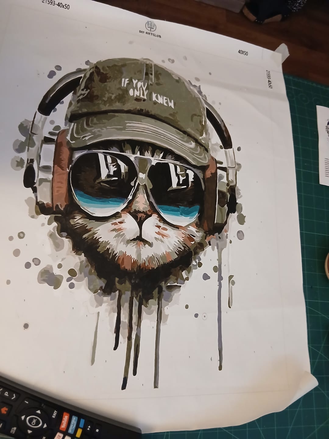 Customer photo review of Cool Cat with Headphones | Paint by Numbers