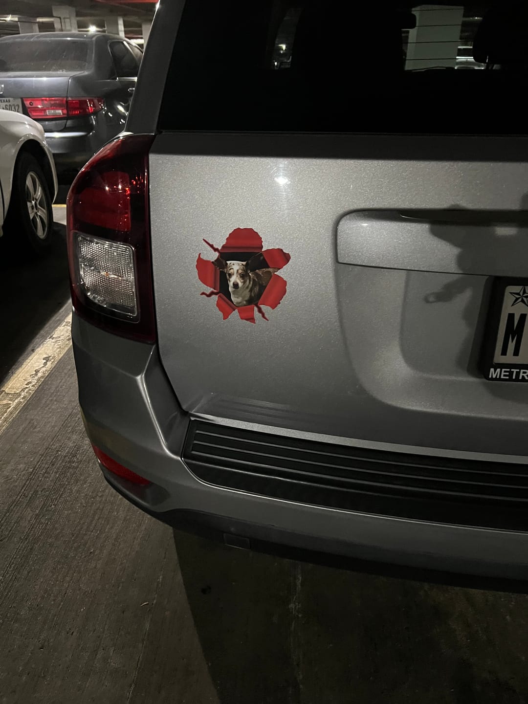 Customer photo review of Peeking photo – Personalized Car Sticker