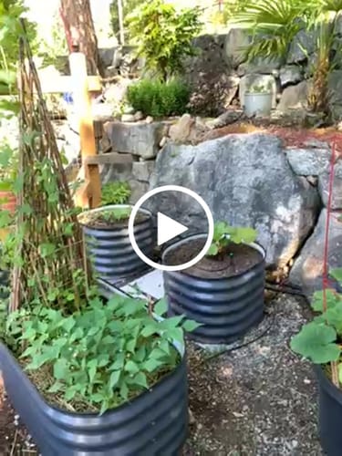 Customer video review of 17” Tall Round (Twin Pack)
