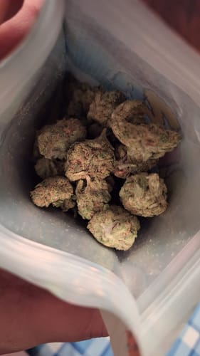 Customer photo review of Blue Dream - 28 Grams Bigs - Sativa