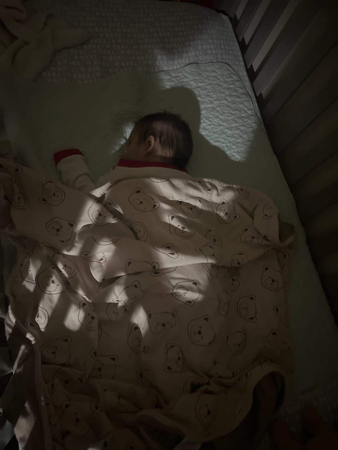 Customer photo review of Toddler Blanket, 4 Season® Merino Wool & Organic Cotton Blanket, 52.5" x 40", Teddy Bear