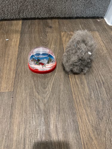 Customer photo review of IndigoPet Hair Removal Broom