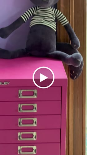 Customer video review of ARTHUS, LE RENARD - GRAND