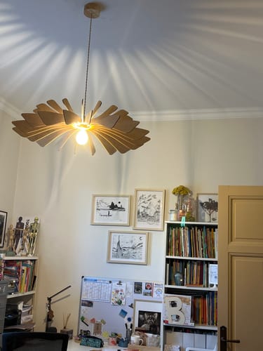 Customer photo review of Ampoule LED 12w