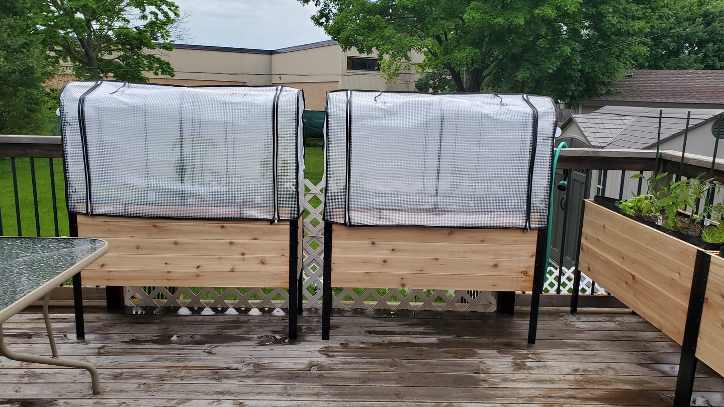 Customer photo review of Greenhouse Cover