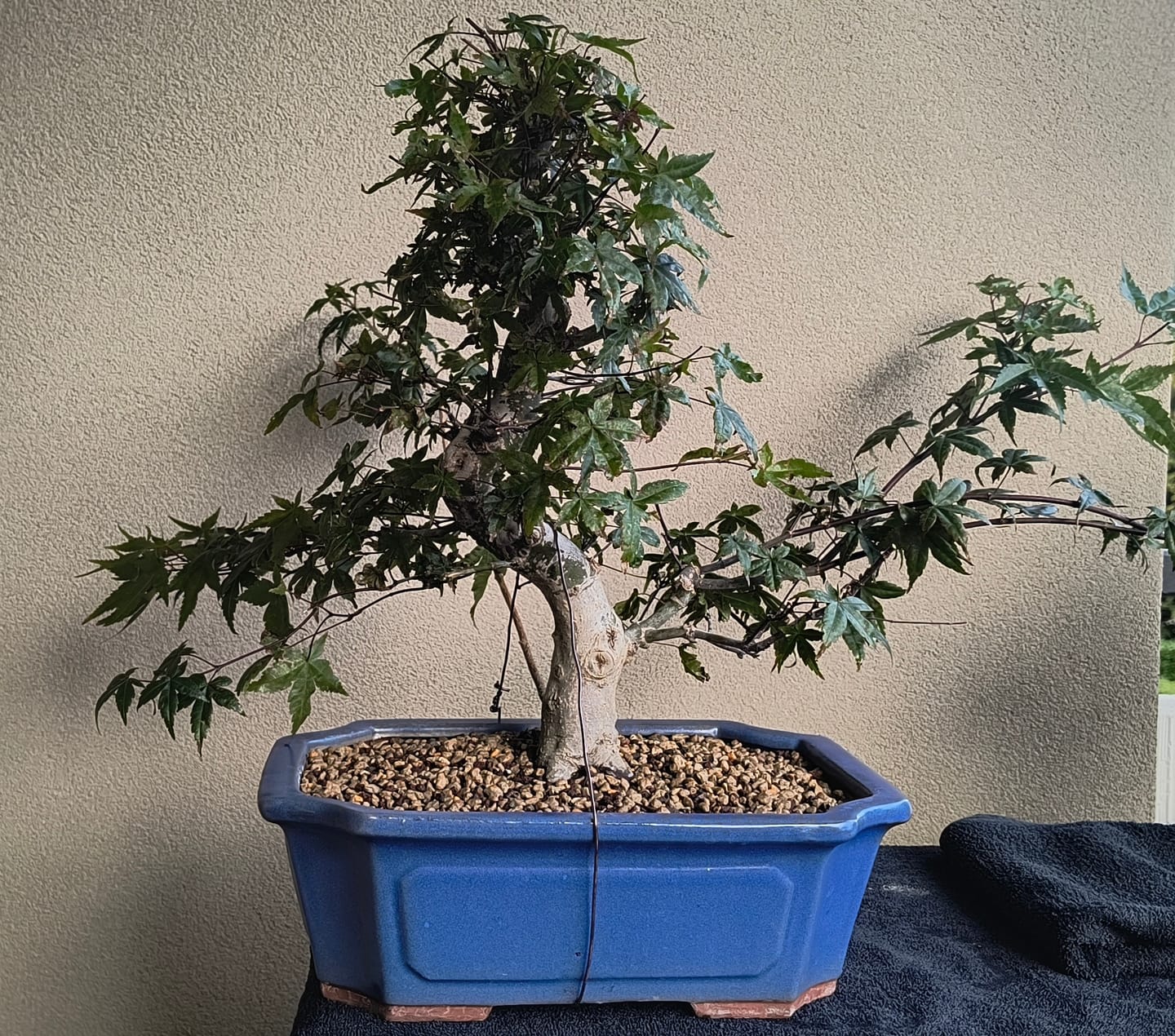 Customer photo review of BULK MASTER CB® (Pompaggio Estivo)