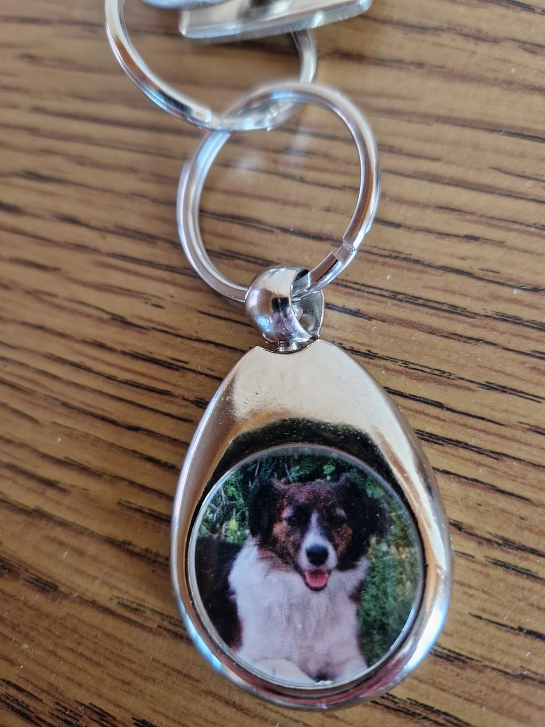 Customer photo review of Schlüsselanhänger mit Hundefoto