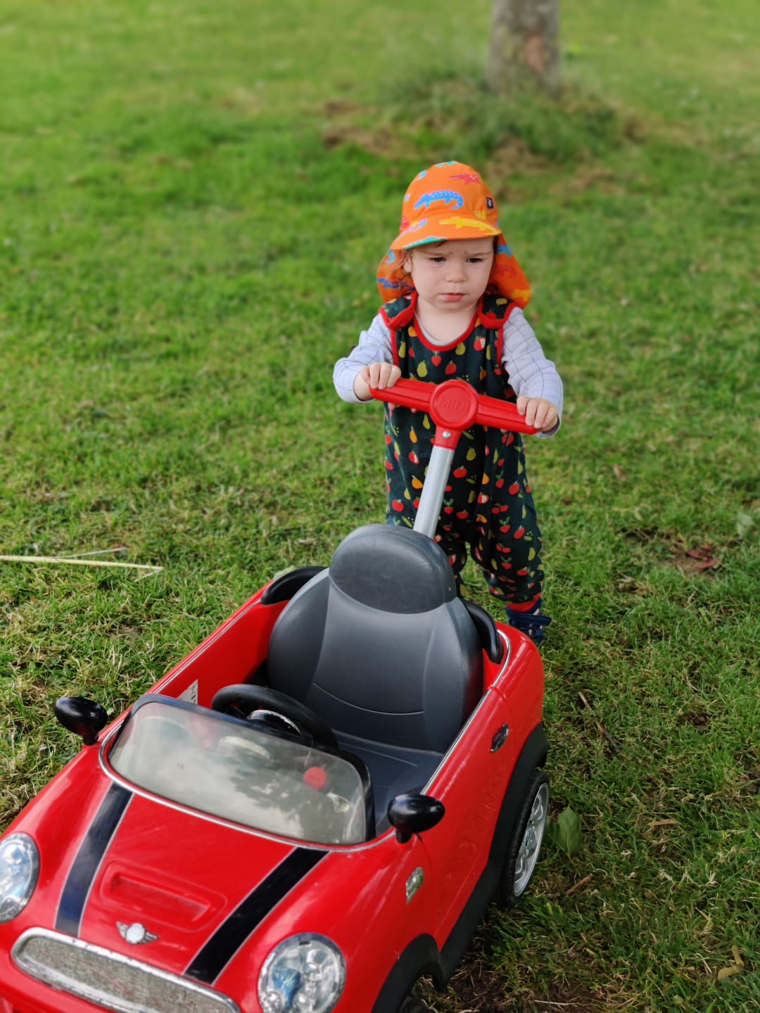 Customer photo review of Vegetable Patch Everyday Dungarees