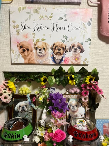 Customer photo review of Petcanva©オーダーメイド ペット似顔絵