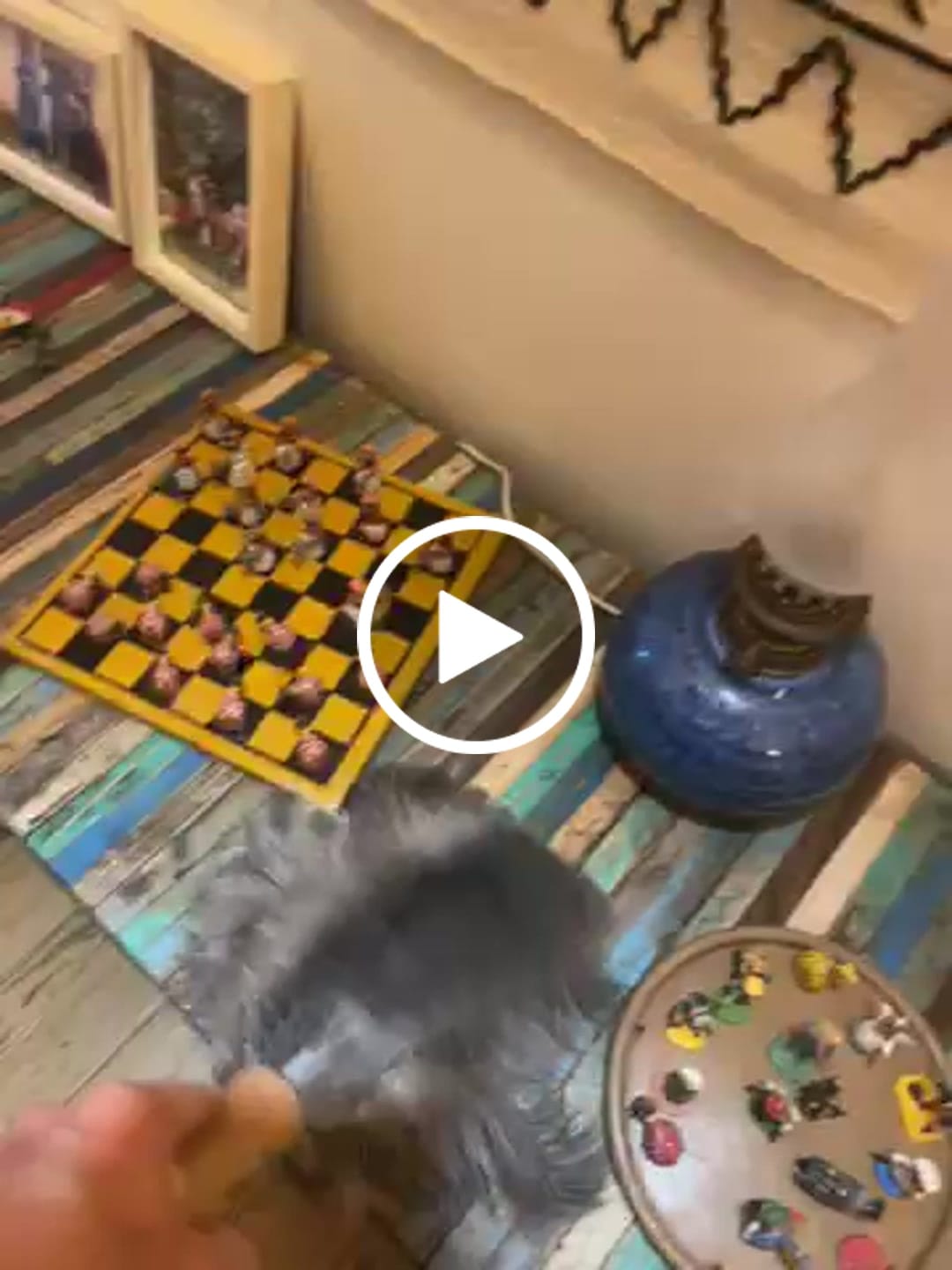 Customer video review of Petit plumeau à main