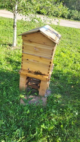Customer photo review of Ventilated 10 Frame Beehive Screened Bottom Board with Wax Coating for Improved Airflow in Beekeeping