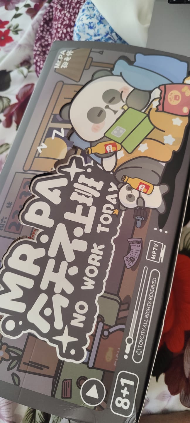 Customer photo review of MR.PA No Work Today Series Blind Box