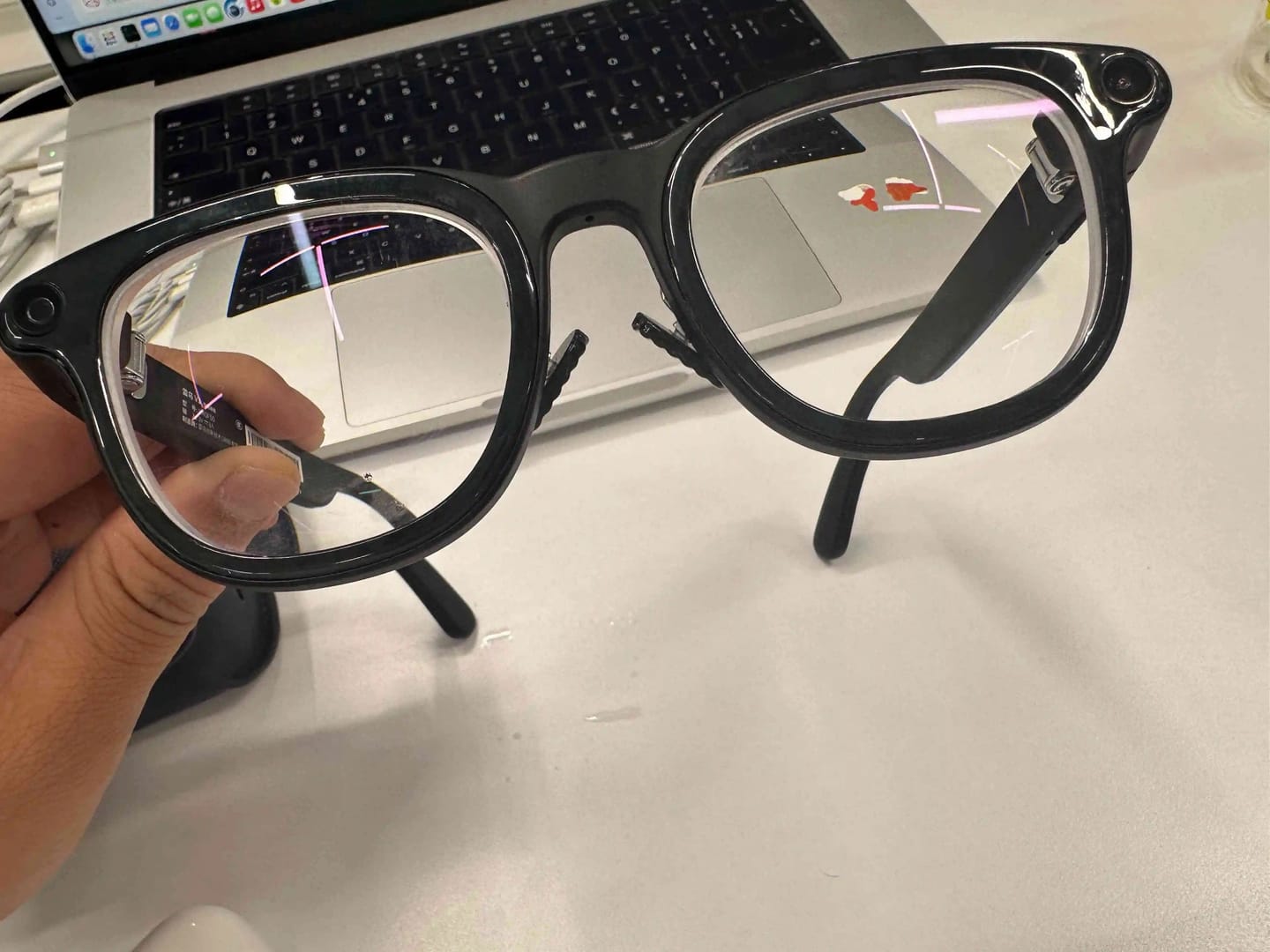 Customer photo review of SmartVision