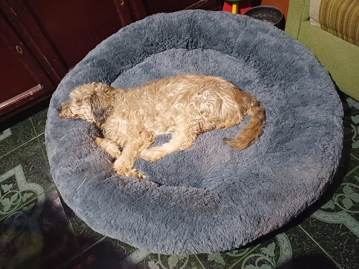 Customer photo review of Funda Original para Cama Antiestrés para Perros
