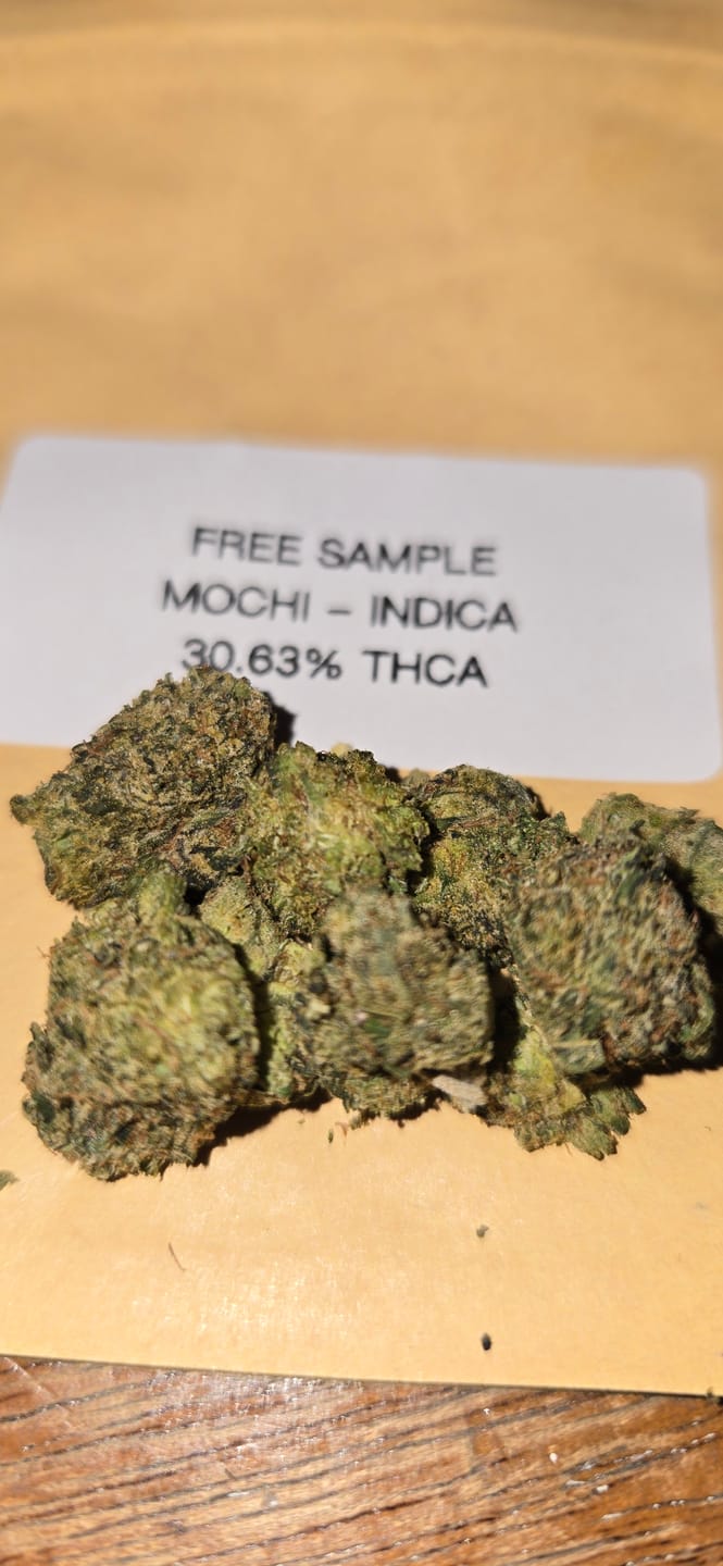 Customer photo review of Mochi