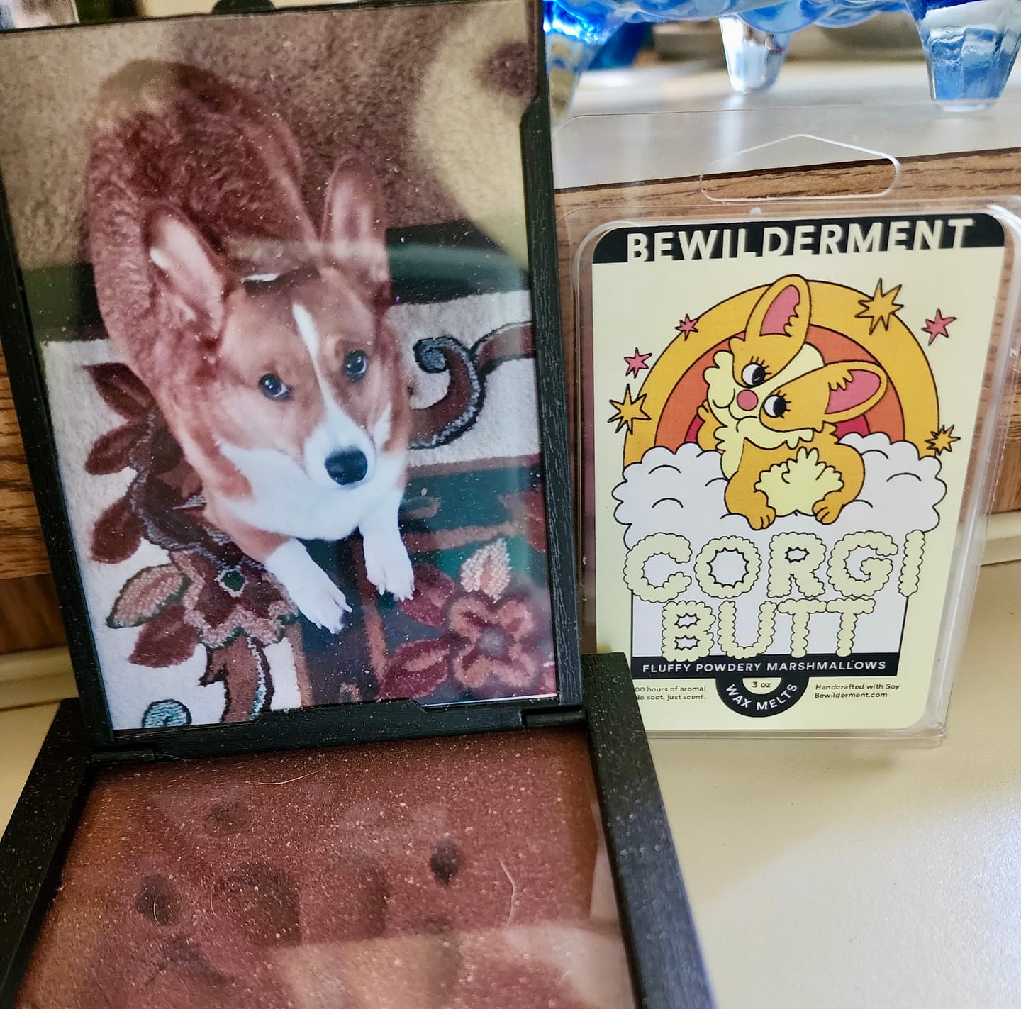 Customer photo review of Corgi Butt Wax Melts