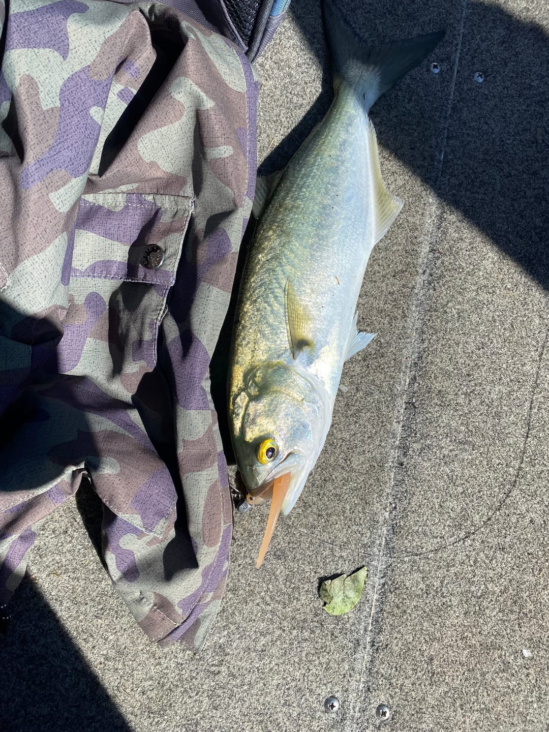 Customer photo review of DEATH TAIL