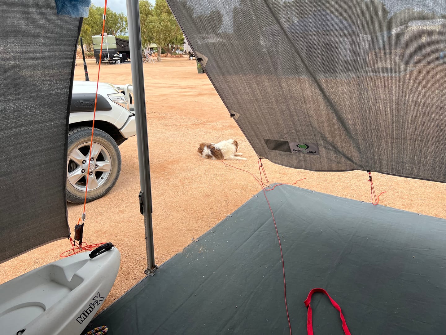 Customer photo review of CGear Multimat