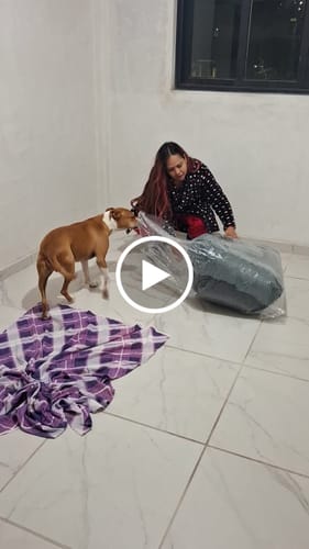Customer video review of Cama Antiestrés para Perros