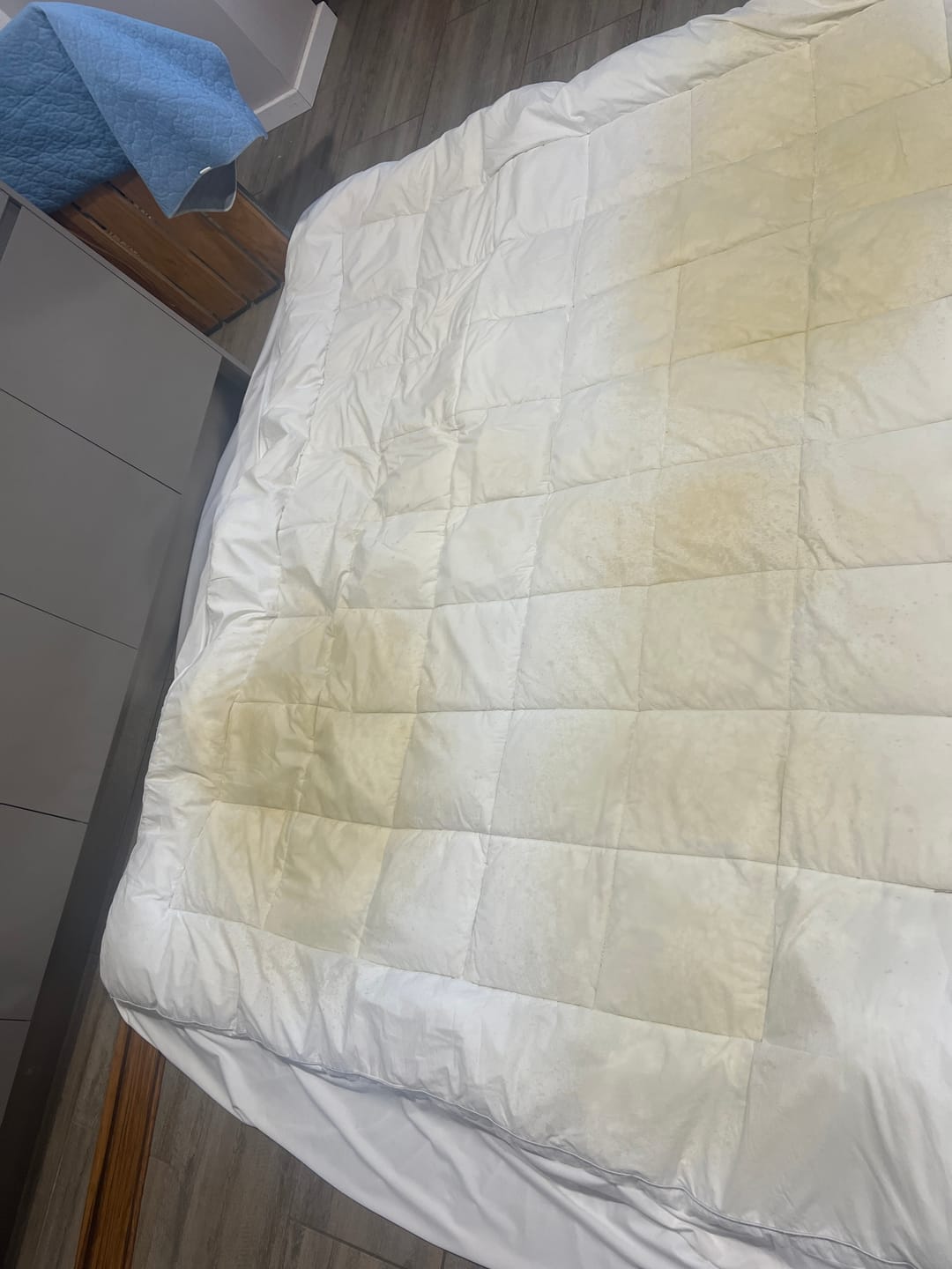 Customer photo review of Hudstone Pre Soaker
