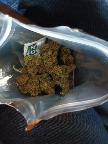 Customer photo review of Space Junkie