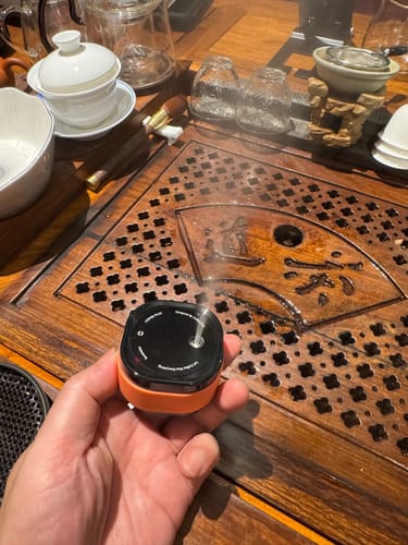 Customer photo review of Electric Anti-Static Bean Sprayer