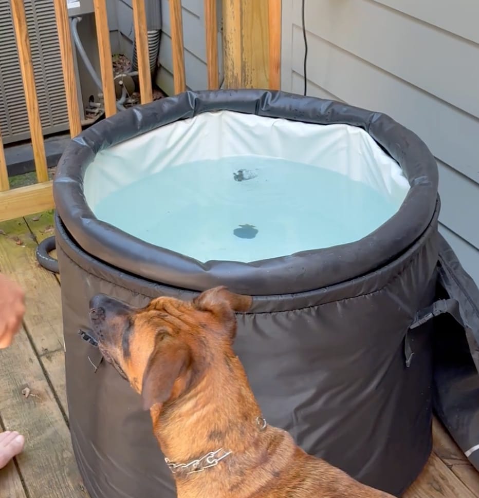 Customer photo review of Water Stabilizer