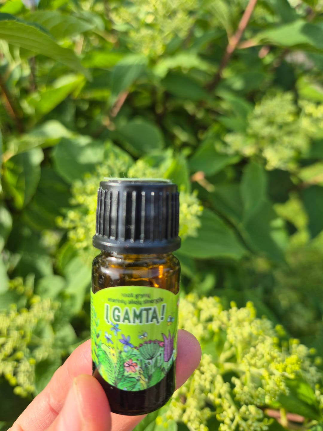 Customer photo review of Eterinių aliejų mišinys „Į gamtą!“
